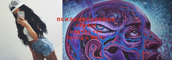 дживик Коряжма