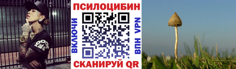 Псилоцибиновые грибы мухоморы  Колпашево 